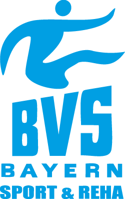 logo_bvs
