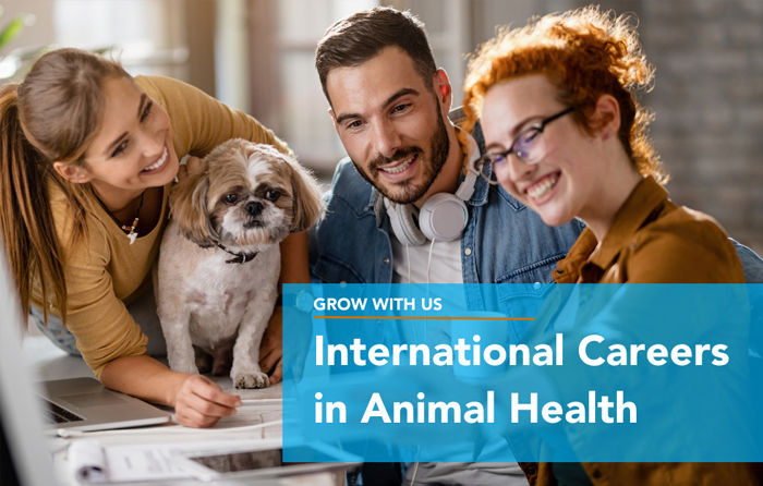 Headergrafik grow with us, international careers in animal health